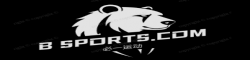 Bsports